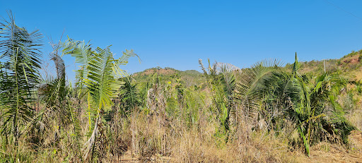 Melhores Hotéis Baratos Perto de Sítio Novo, Maranhão 2025