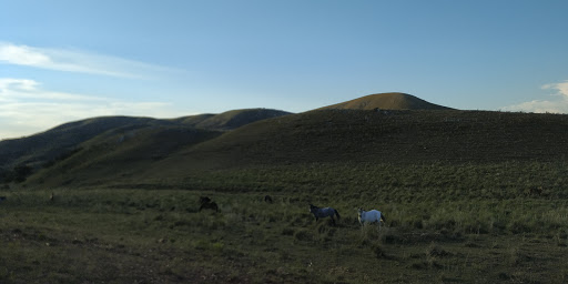 Melhores Hotéis Baratos Perto de Butiá, Rio Grande do Sul 2025