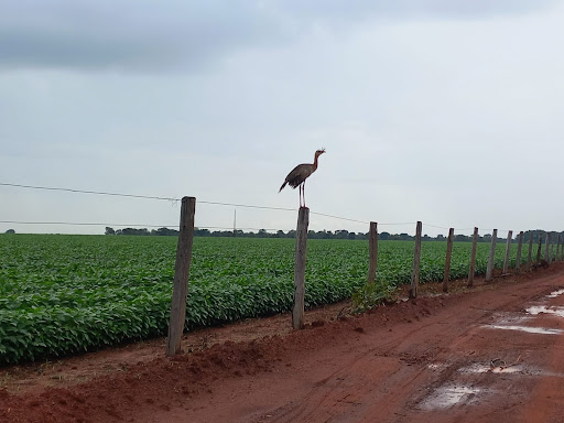 Melhores Hotéis Baratos Perto de Santo Antônio, Tocantins 2025