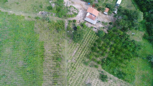 Melhores Hotéis Baratos Perto de Tomé-Açu, Pará 2025