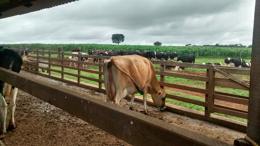 Melhores Hotéis Baratos Perto de Tiros, Minas Gerais 2025