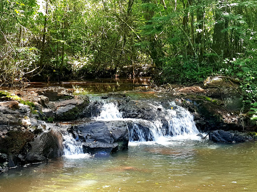 Melhores Hotéis Baratos Perto de Fênix, Paraná 2025