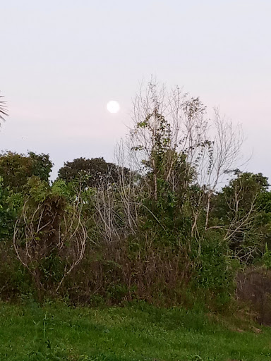 Melhores Hotéis Baratos Perto de Sacambu, Amazonas 2025