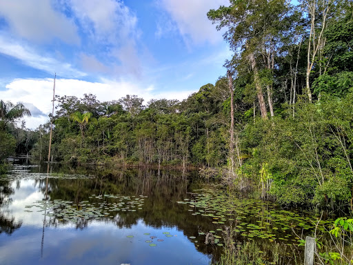 Melhores Hotéis Baratos Perto de Careiro, Amazonas 2025