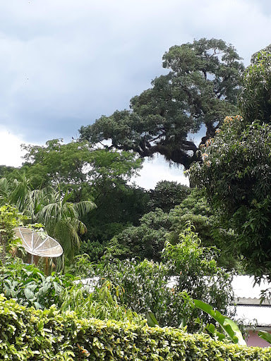 Melhores Hotéis Baratos Perto de Céu Azul, Paraná 2025