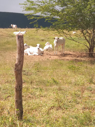 Melhores Hotéis Baratos Perto de Cedro, Ceará 2025