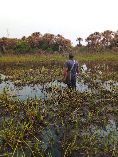 Melhores Hotéis Baratos Perto de Campina Verde, Minas Gerais 2025