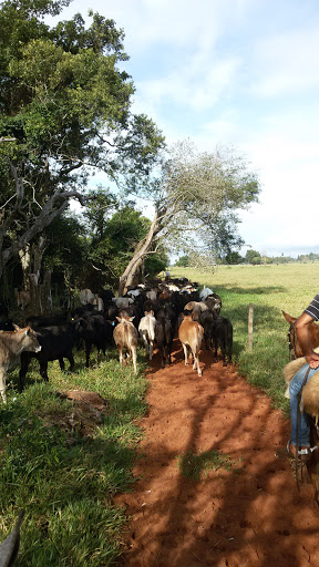 Melhores Hotéis Baratos Perto de Glória de Dourados, Mato Grosso do Sul 2025