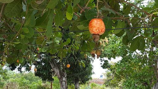 Melhores Hotéis Baratos Perto de Pacajus, Ceará 2025