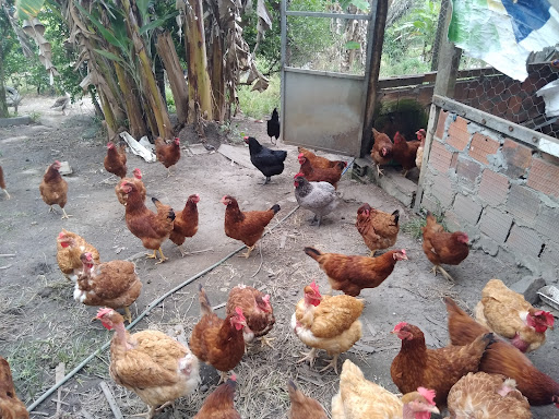 Melhores Hotéis Baratos Perto de Ibicaraí, Bahia 2025