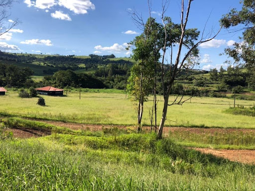 Melhores Hotéis Baratos Perto de Siqueira Campos, Paraná 2025