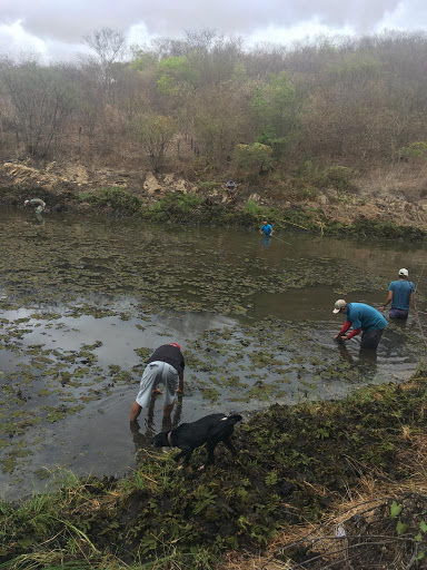 Melhores Hotéis Baratos Perto de Estrela de Alagoas, Alagoas 2025