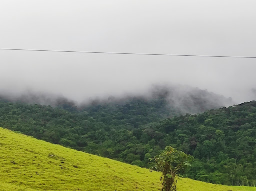 Melhores Hotéis Baratos Perto de Murici, Alagoas 2025