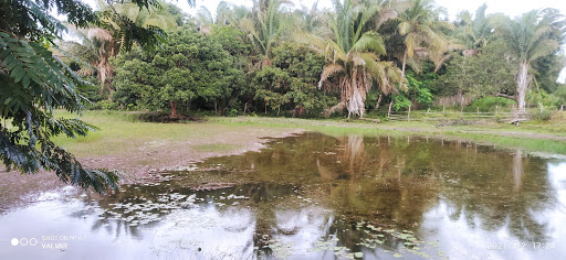 Melhores Hotéis Baratos Perto de São João, Maranhão 2025