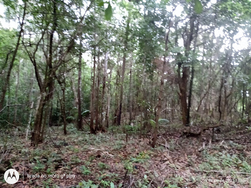 Melhores Hotéis Baratos Perto de Mirinzal, Maranhão 2025
