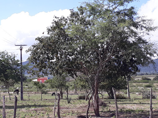 Melhores Hotéis Baratos Perto de Itaíba, Pernambuco 2025