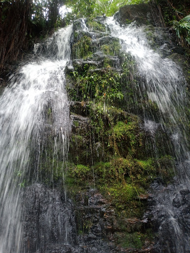 Melhores Hotéis Baratos Perto de Santa Rita Durão, Pará 2025