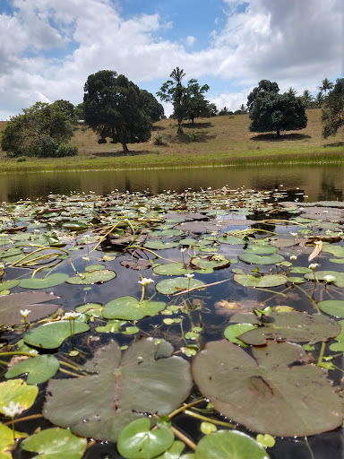 Melhores Hotéis Baratos Perto de Almeida, Bahia 2025