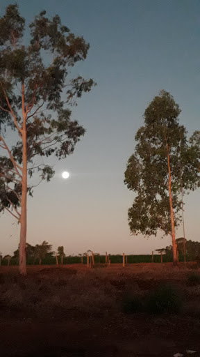 Melhores Hotéis Baratos Perto de Fatima do Sul, Mato Grosso do Sul 2025